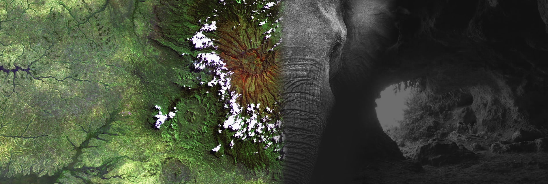 The Underground Elephants of Mount Elgon