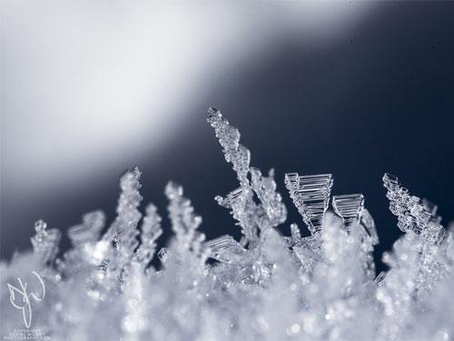 Knowing Where To Look