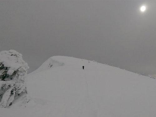 Not Your Average Board Meeting